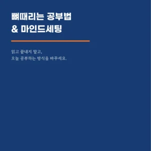 뼈때리는 공부법 & 마인드세팅