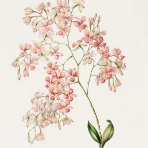 이화여대 편입영어 교재 [업데이트중......11월 17일 완성예정 / pdf 전송]