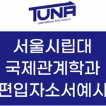 서울시립대 국제관계학과