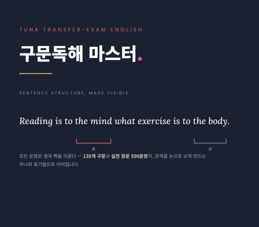 튜나 구문독해 마스터