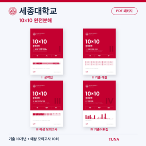 세종대학교 10×10 완전분해 · 대학별 편입영어 PDF 패키지